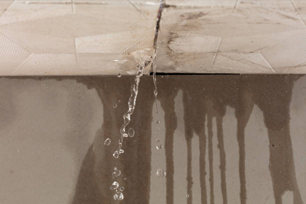 Professional Water Damage Inspection technician working in Bethel Park, PA